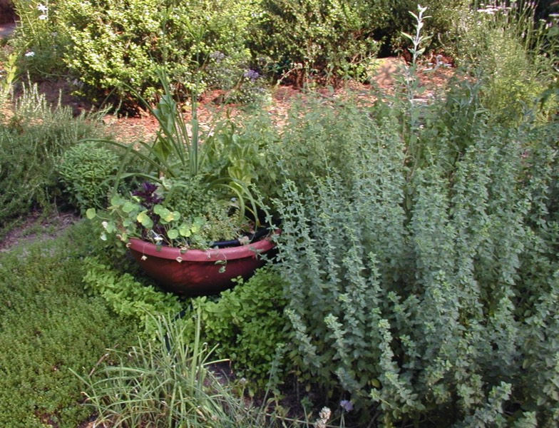 Herb Garden